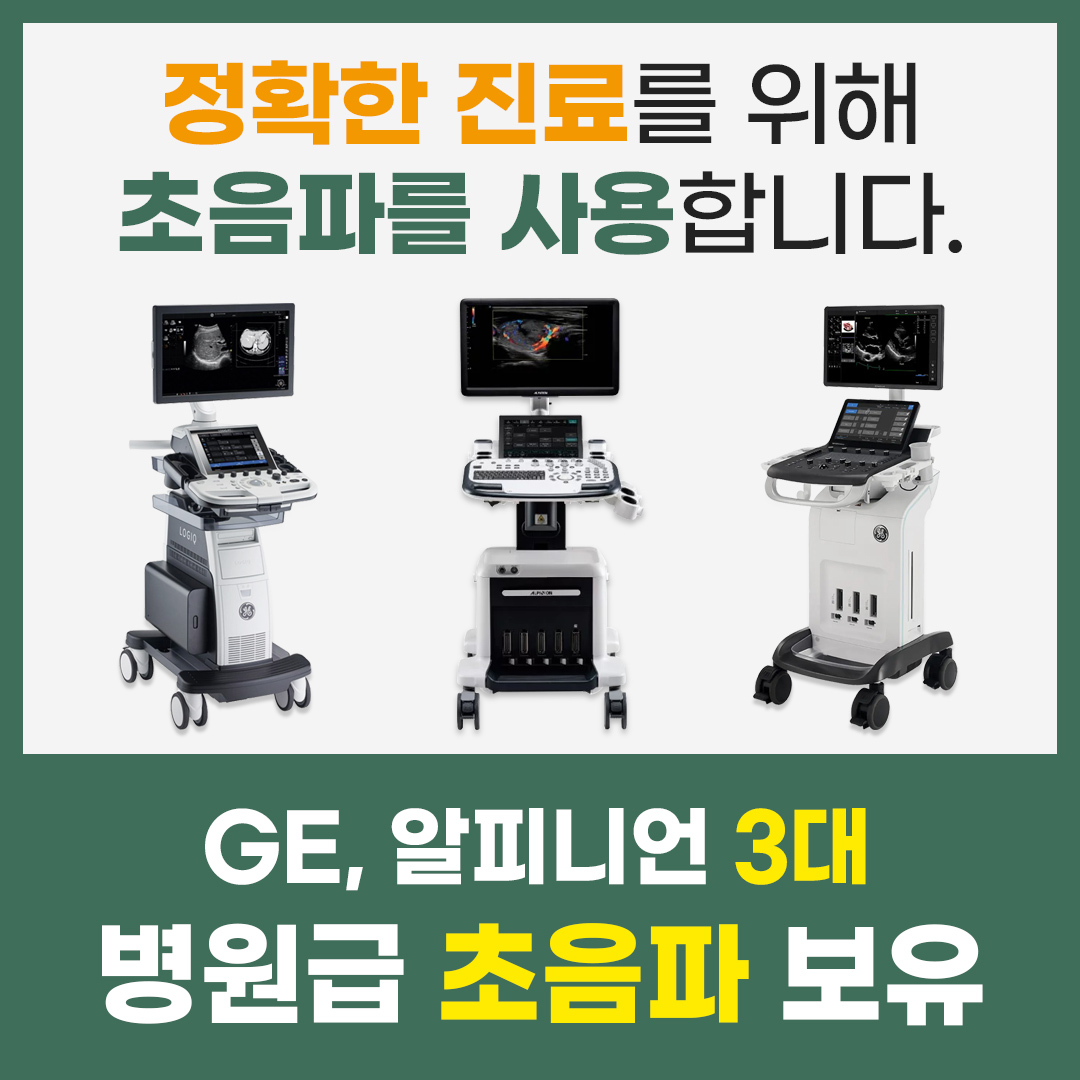 GE·알피니언 병원급 초음파 3대 보유