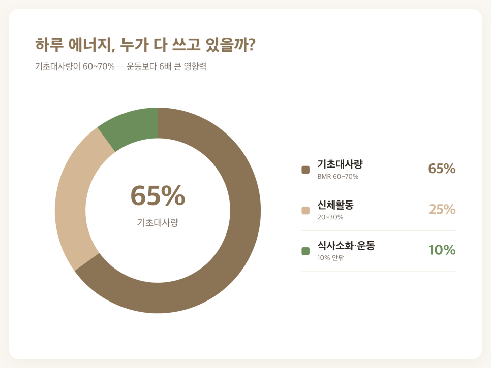 에너지 소비 비율 도넛 차트