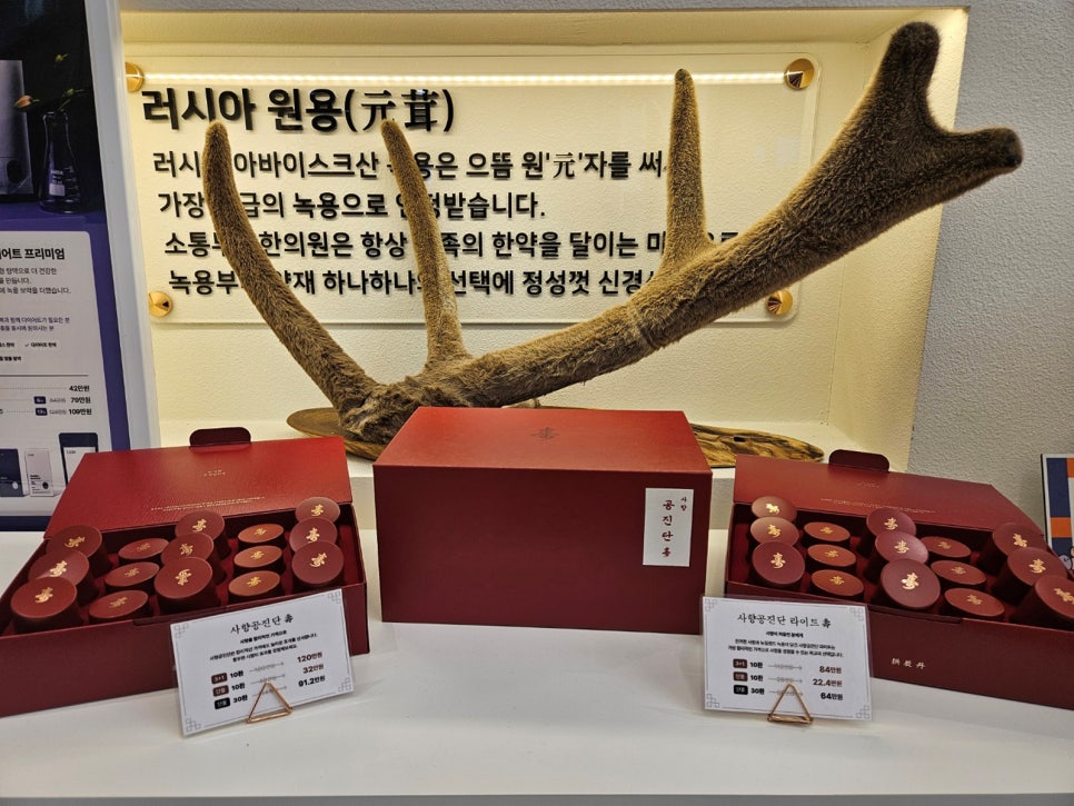 공진단·경옥고 효능과 복용법 — 추석 보약 안내