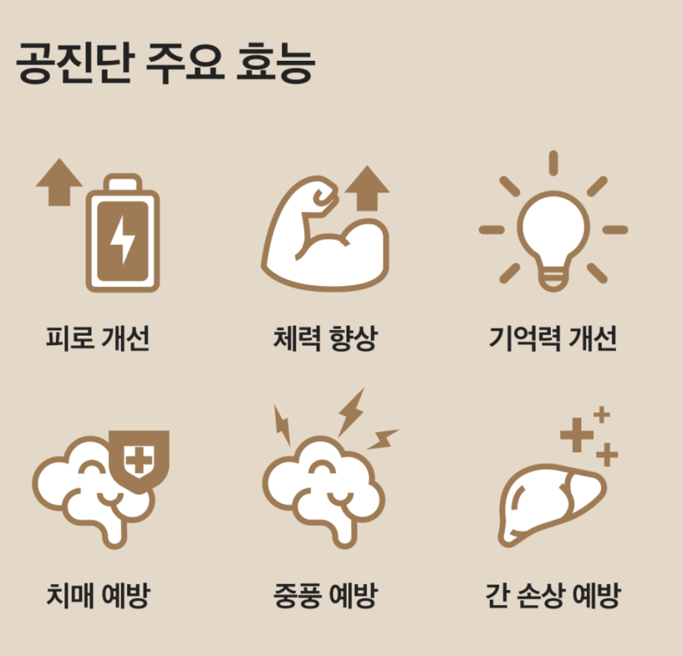 공진단 효능