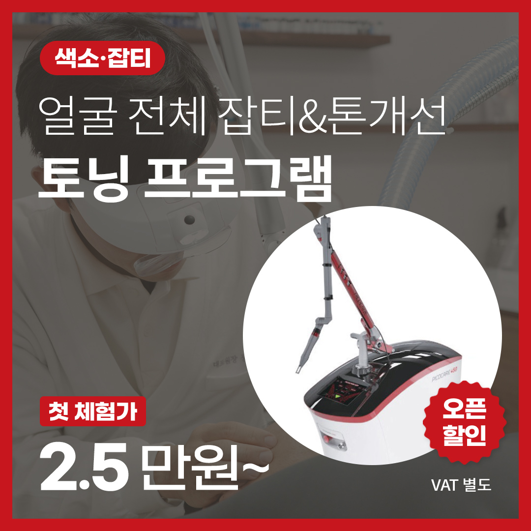 토닝 프로그램